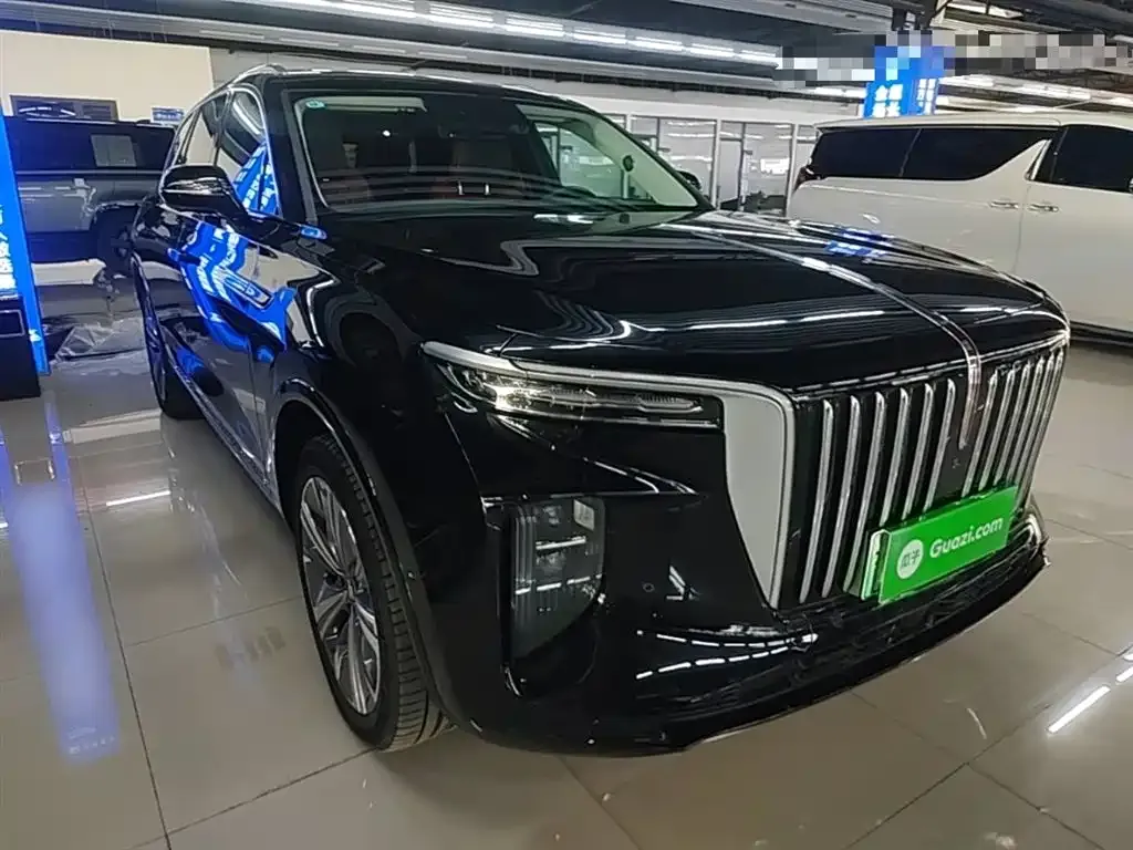 Hongqi E-HS9 2023 из CN, фото 4