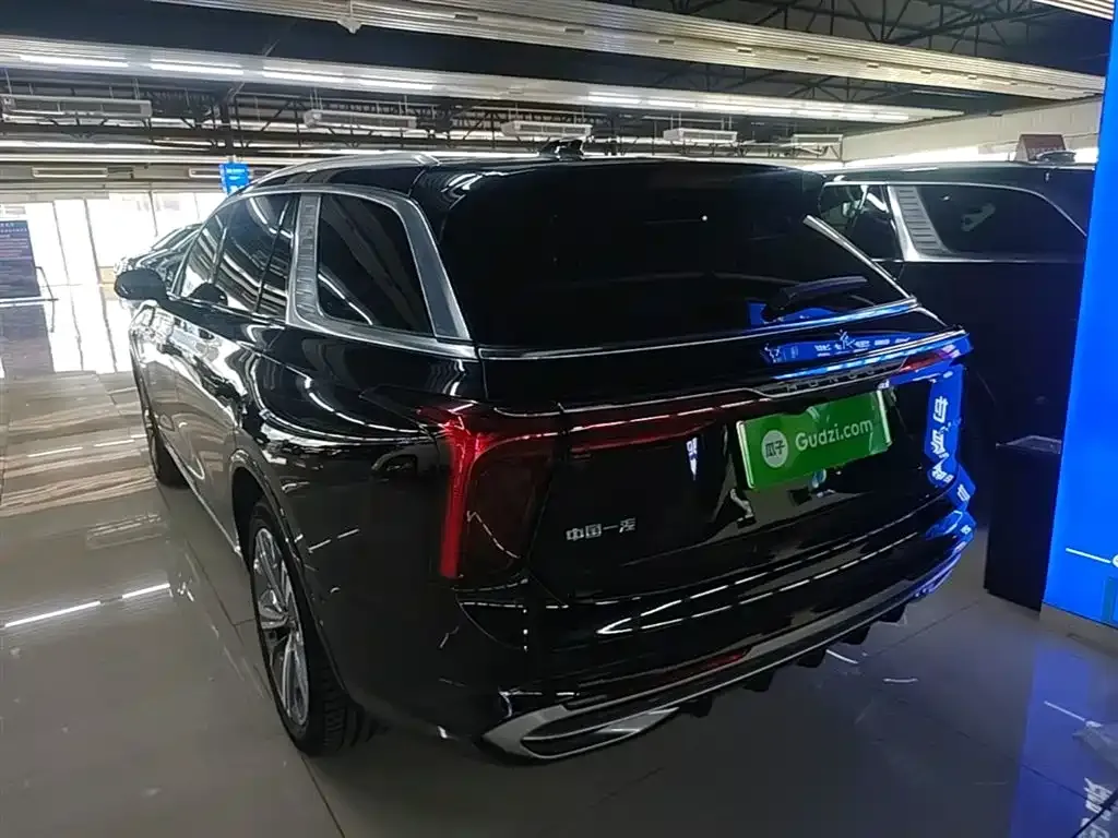 Hongqi E-HS9 2023 из CN, фото 7