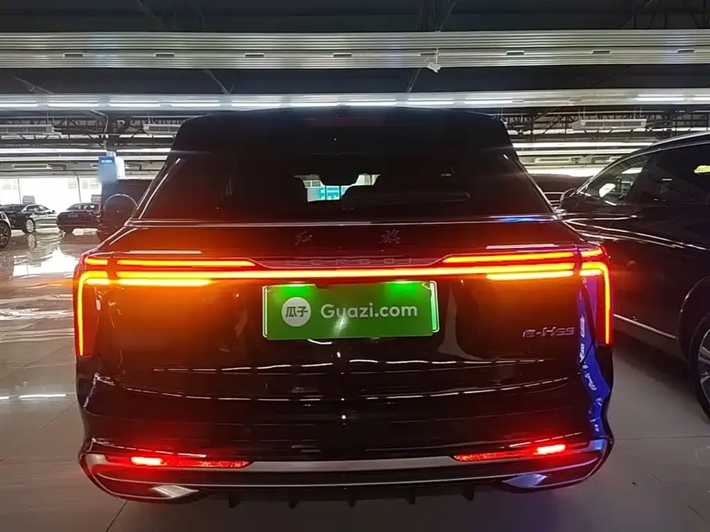 Hongqi E-HS9 2023 из CN, фото 3