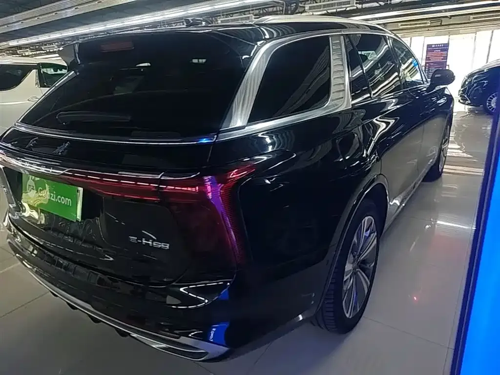 Hongqi E-HS9 2023 из CN, фото 5