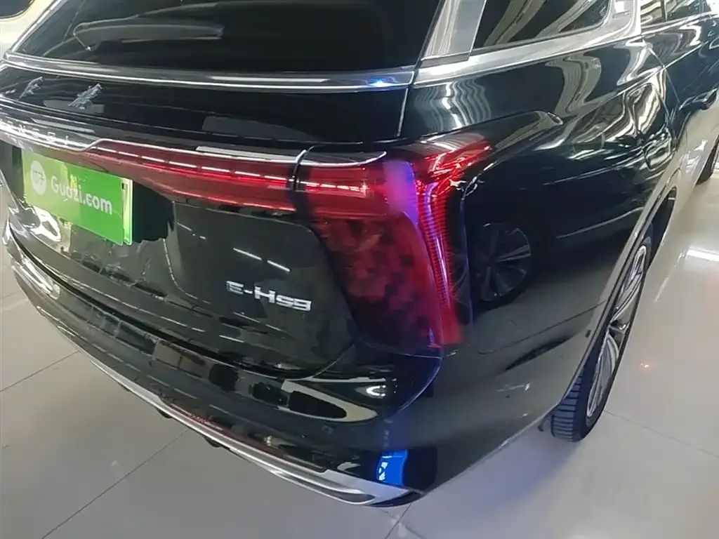 Hongqi E-HS9 2023 из CN, фото 9
