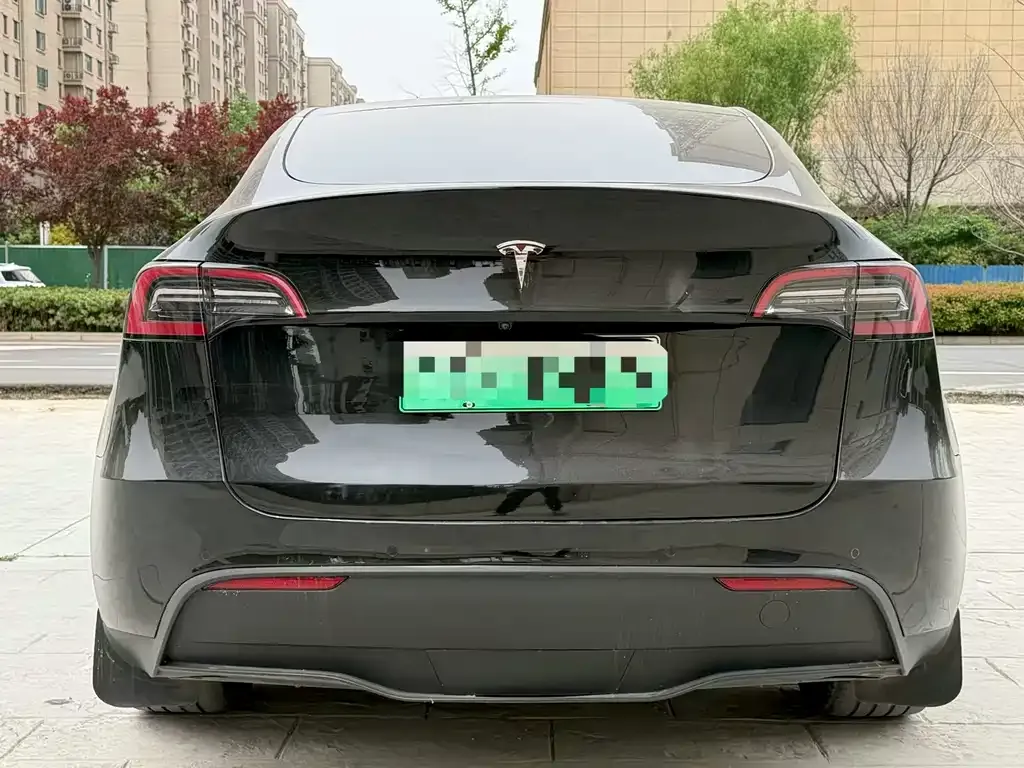 Tesla Model Y — фото 6