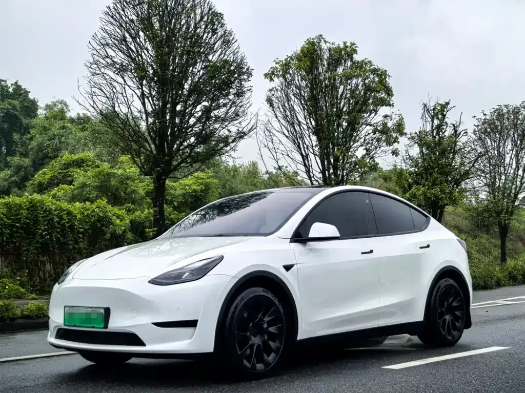 Tesla Model Y — фото 1