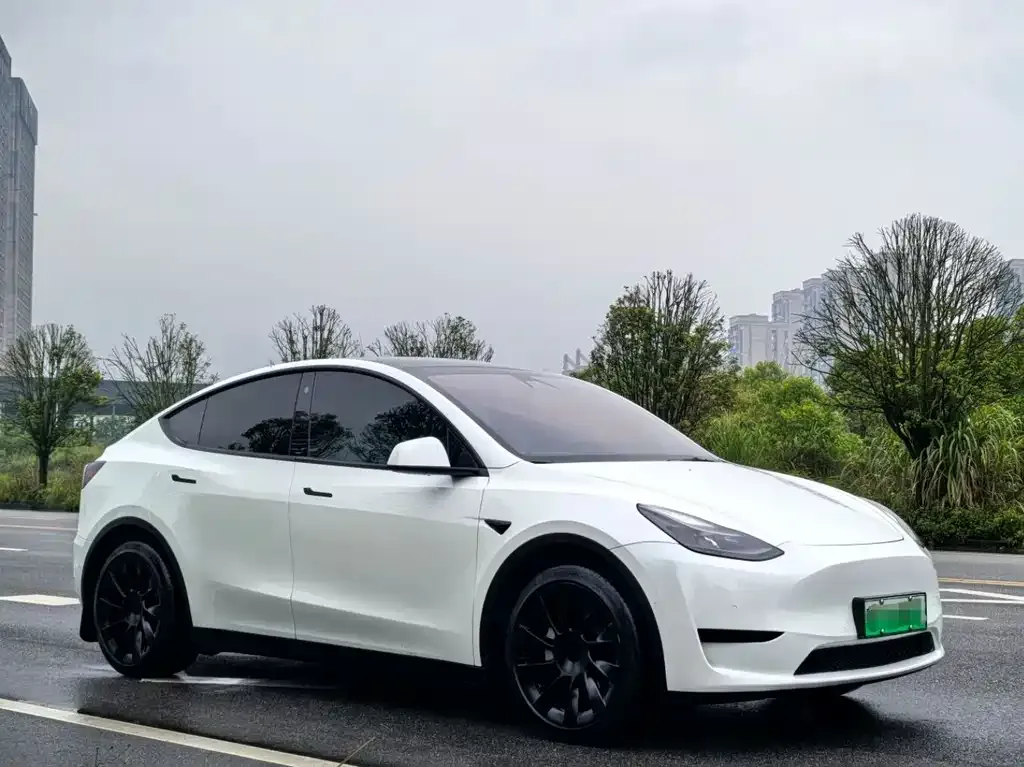 Tesla Model Y — фото 5