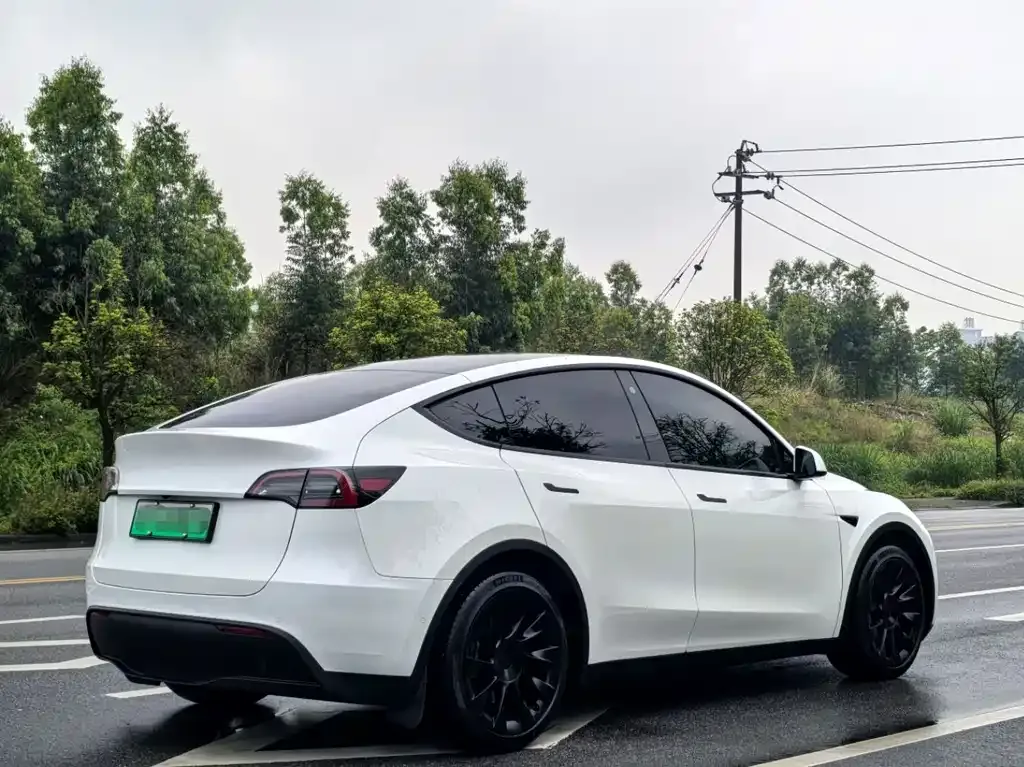 Tesla Model Y — фото 4
