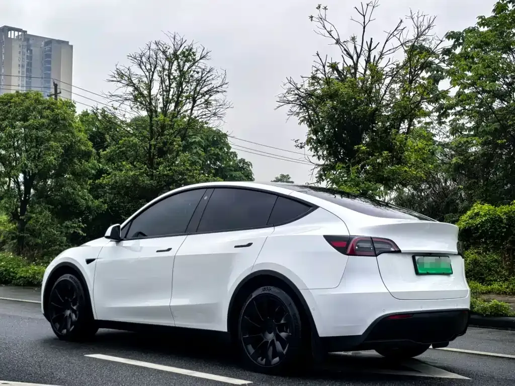 Tesla Model Y — фото 8