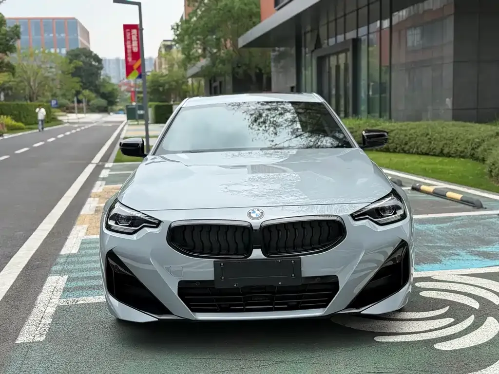 BMW 2 Series (Import) 2022 из CN, фото 8