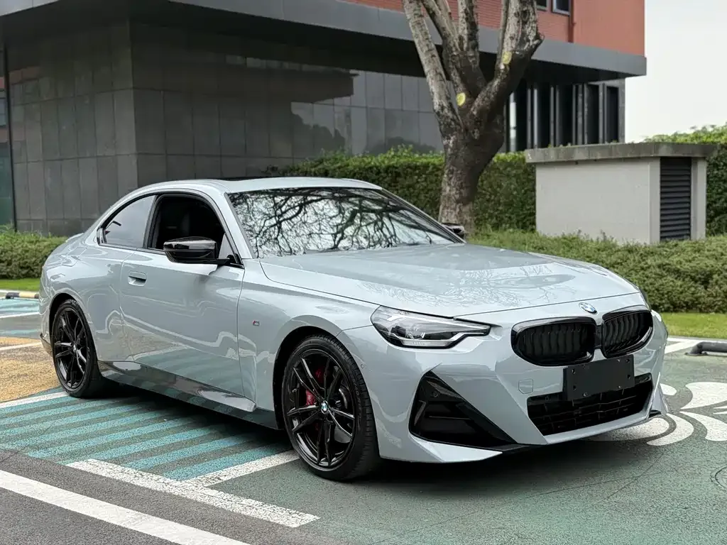 BMW 2 Series (Import) 2022 из CN, фото 3