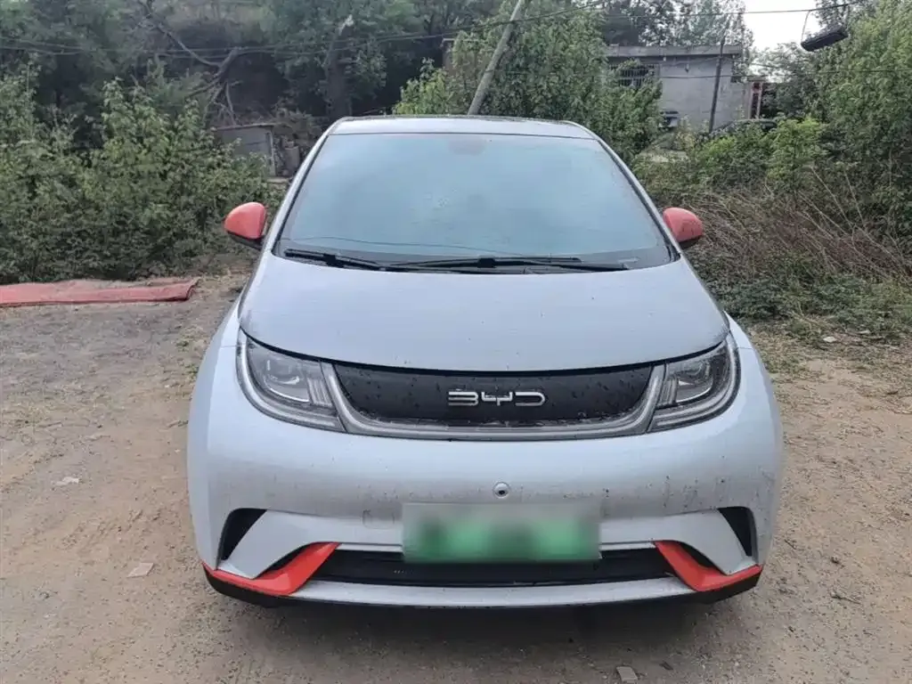 BYD Dolphin 2021 из CN, фото 9