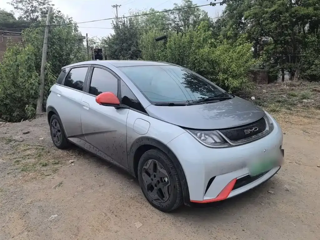 BYD Dolphin 2021 из CN, фото 5