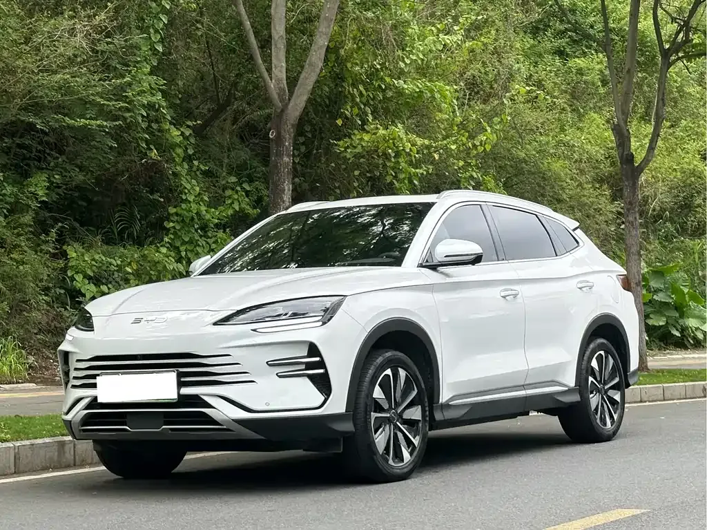 BYD PLUS New Energy 2024 из CN, фото 1