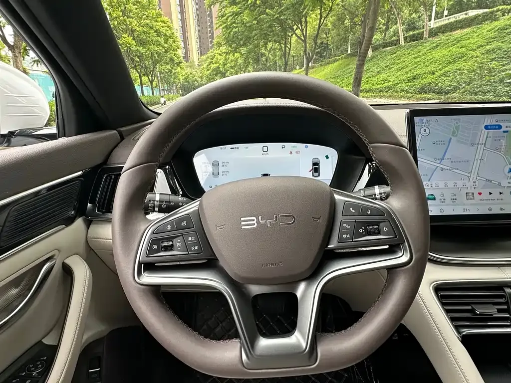 BYD PLUS New Energy 2024 из CN, фото 8