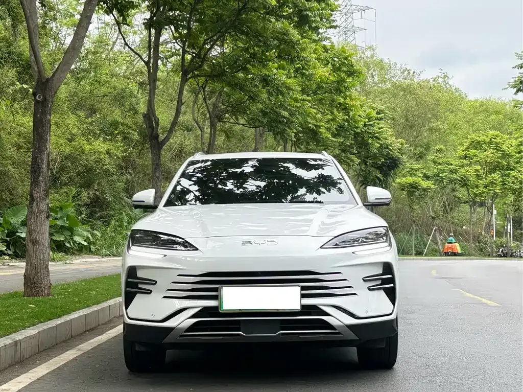BYD PLUS New Energy 2024 из CN, фото 9