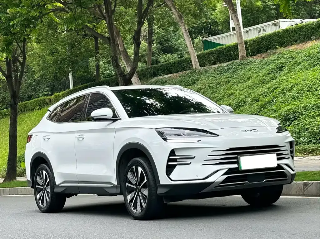 BYD PLUS New Energy 2024 из CN, фото 10