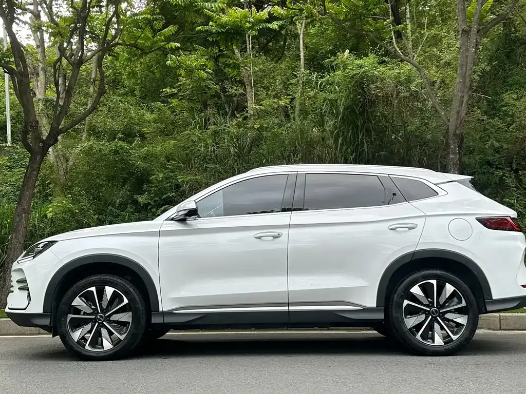 BYD PLUS New Energy 2024 из CN, фото 7