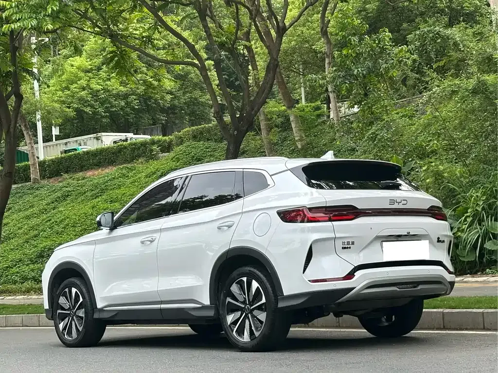 BYD PLUS New Energy 2024 из CN, фото 2