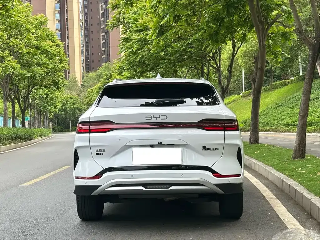 BYD PLUS New Energy 2024 из CN, фото 3