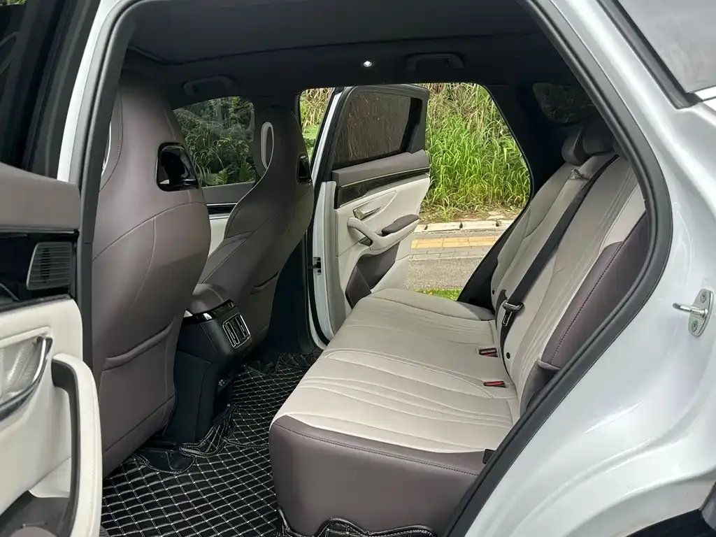 BYD PLUS New Energy 2024 из CN, фото 5