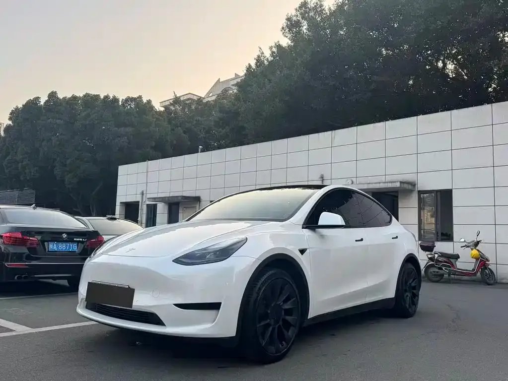 Tesla Model Y — фото 1