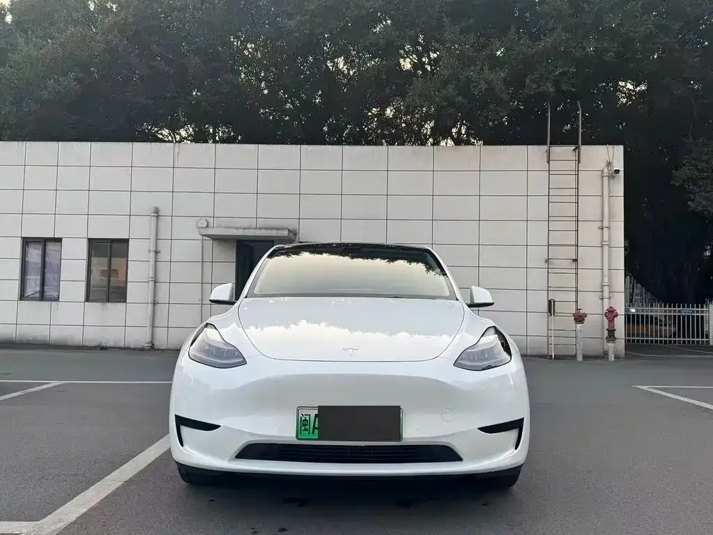 Tesla Model Y — фото 2