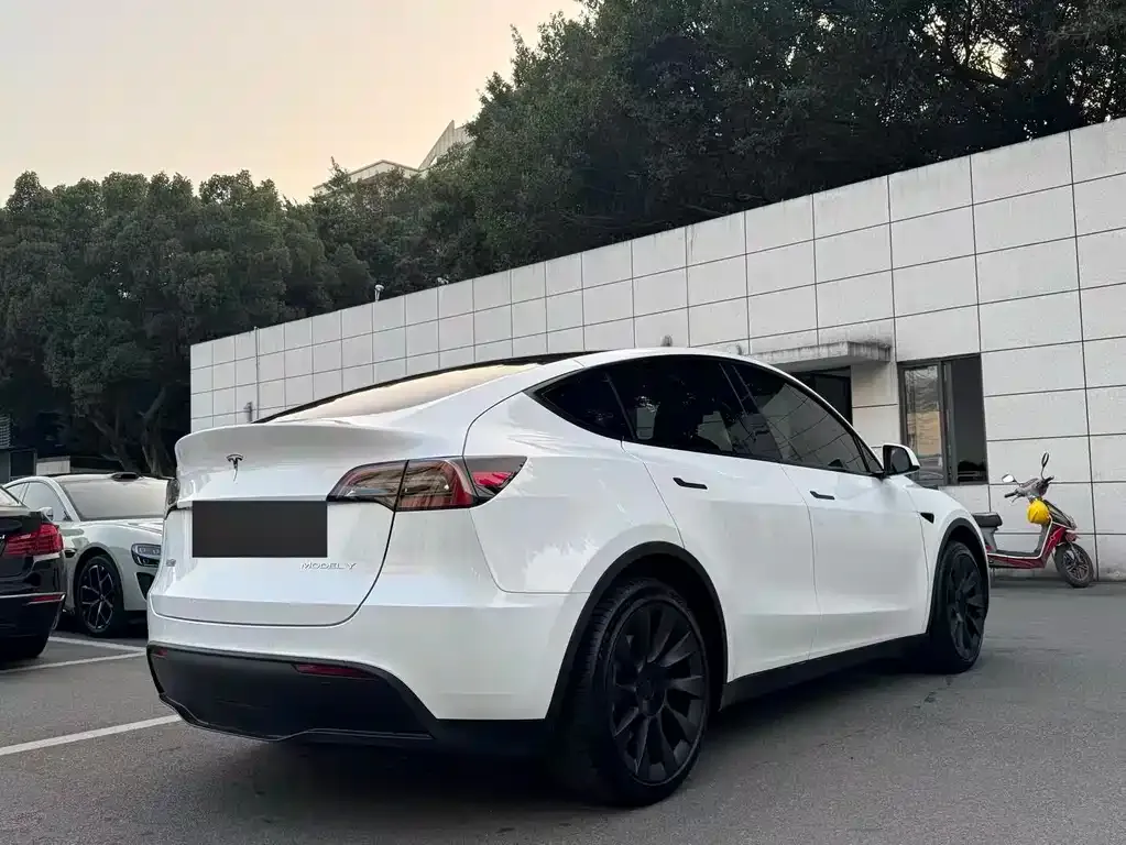 Tesla Model Y — фото 6