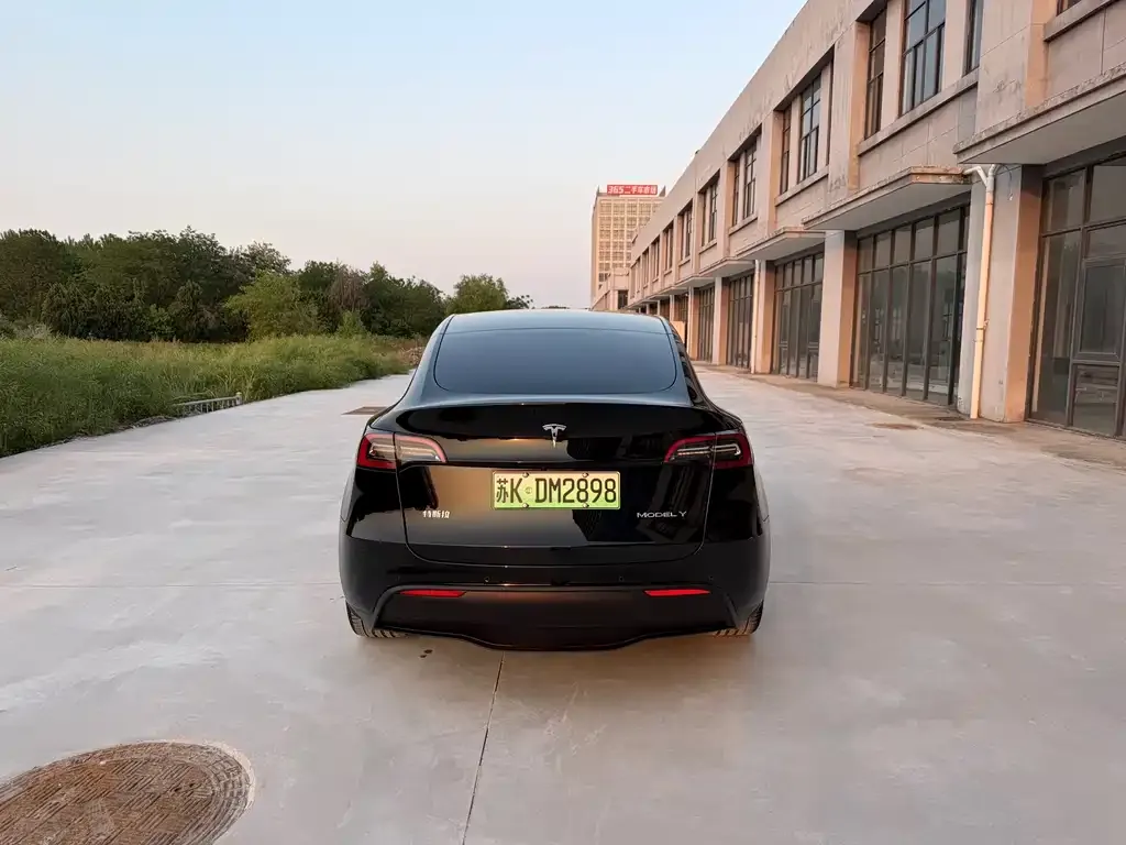 Tesla Model Y — фото 8