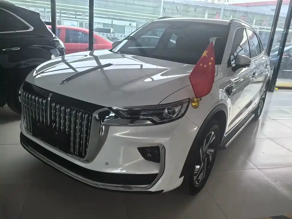 Hongqi HS5 2023 из CN, фото 10