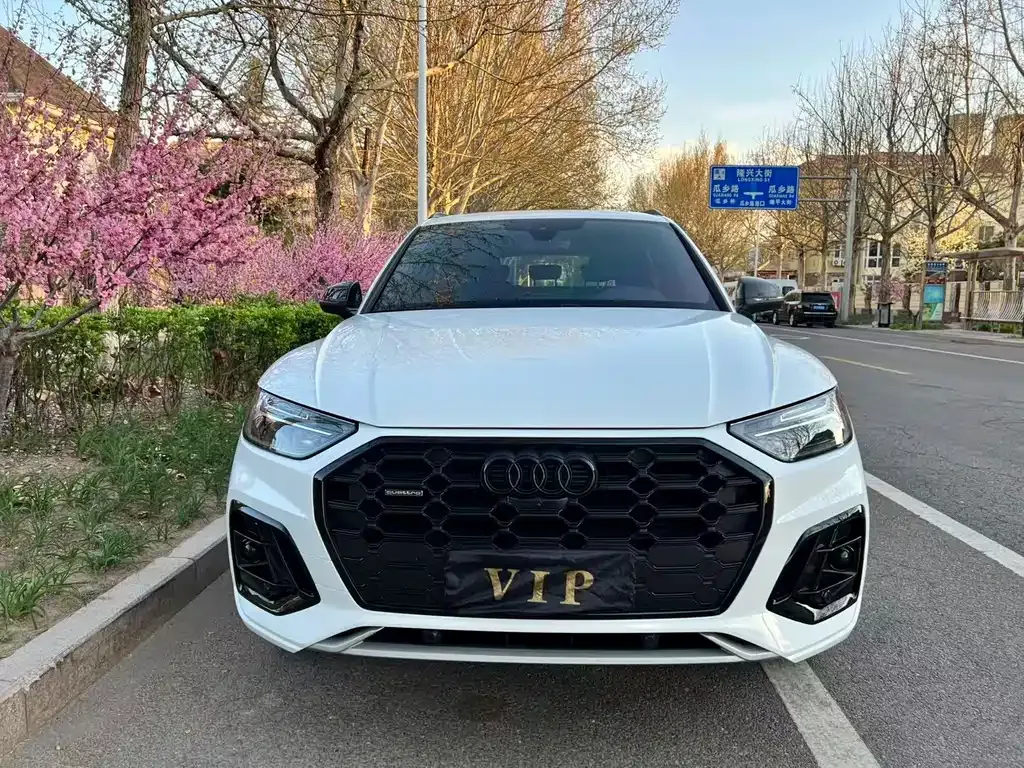 Audi Q5L 2024 из CN, фото 10