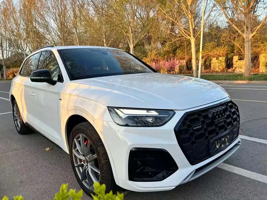 Audi Q5L 2024 из CN, фото 4