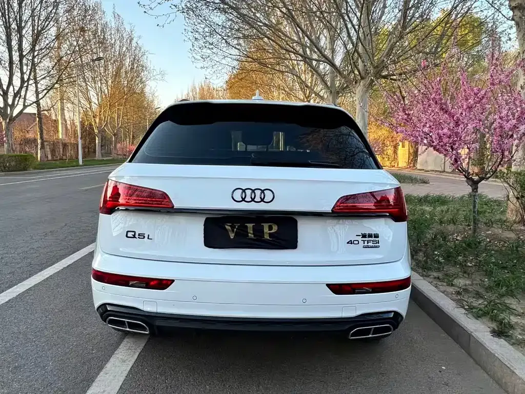 Audi Q5L 2024 из CN, фото 8