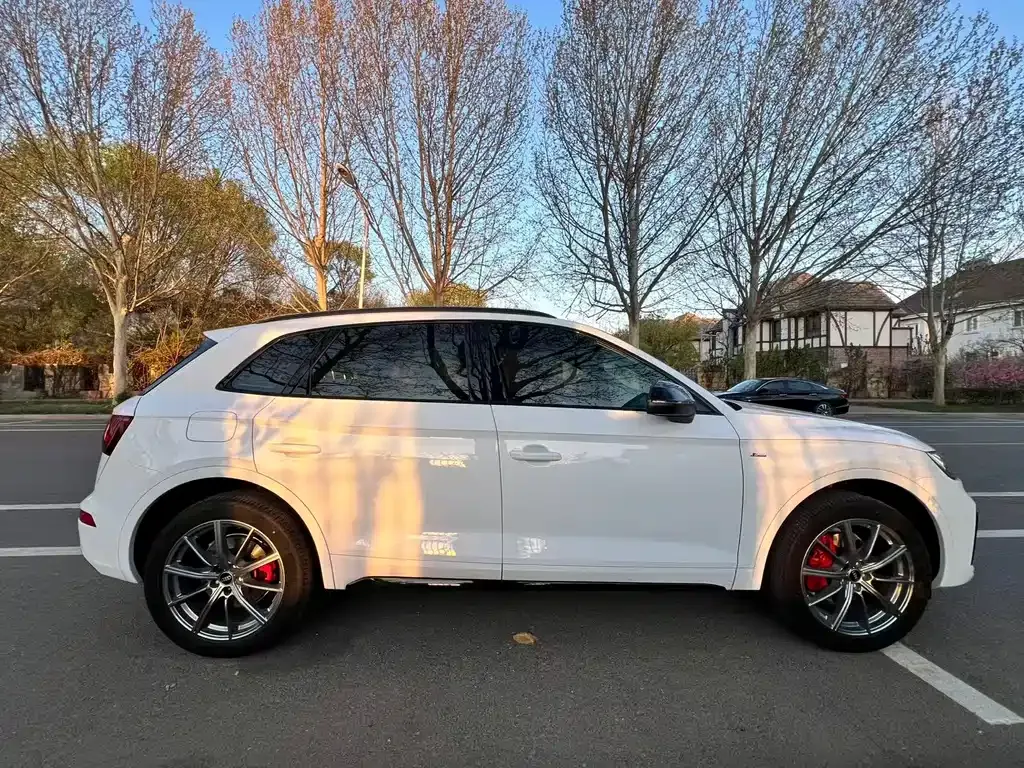 Audi Q5L 2024 из CN, фото 9