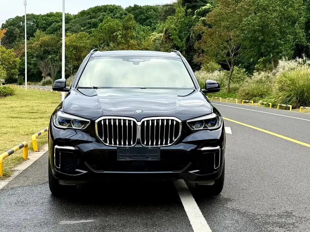 BMW X5 2022 из CN, фото 9