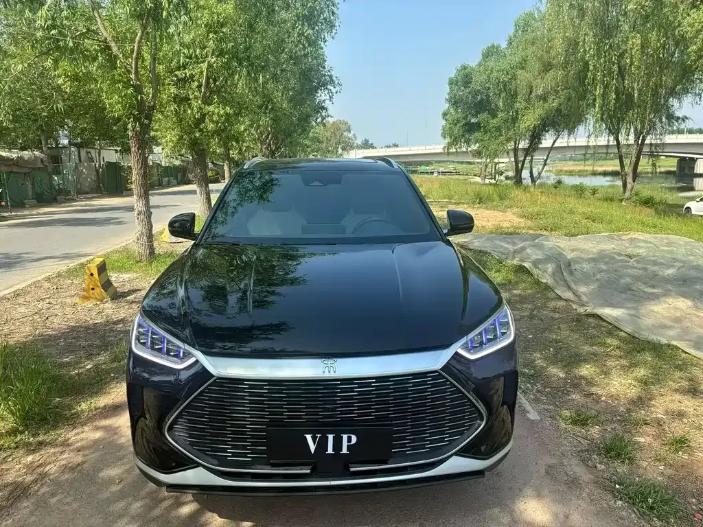 BYD PLUS New Energy 2023 из CN, фото 9