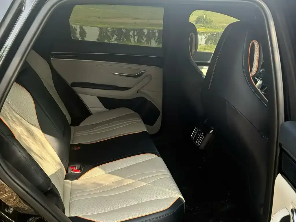 BYD PLUS New Energy 2023 из CN, фото 2