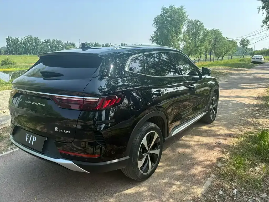BYD PLUS New Energy 2023 из CN, фото 5