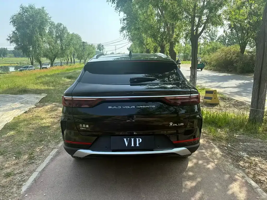 BYD PLUS New Energy 2023 из CN, фото 4