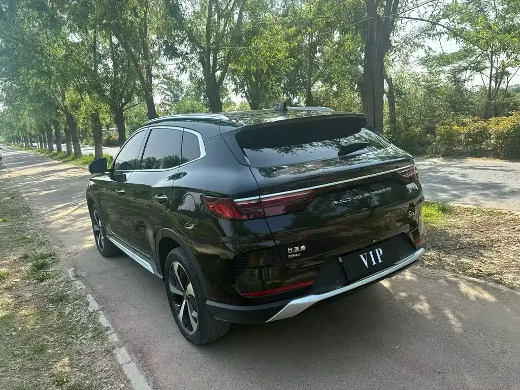 BYD PLUS New Energy 2023 из CN, фото 7