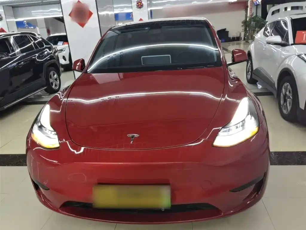 Tesla Model Y — фото 3