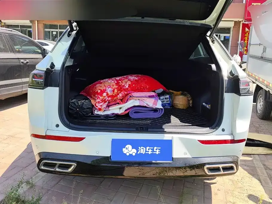 Volkswagen Tavendor 2024 из CN, фото 3
