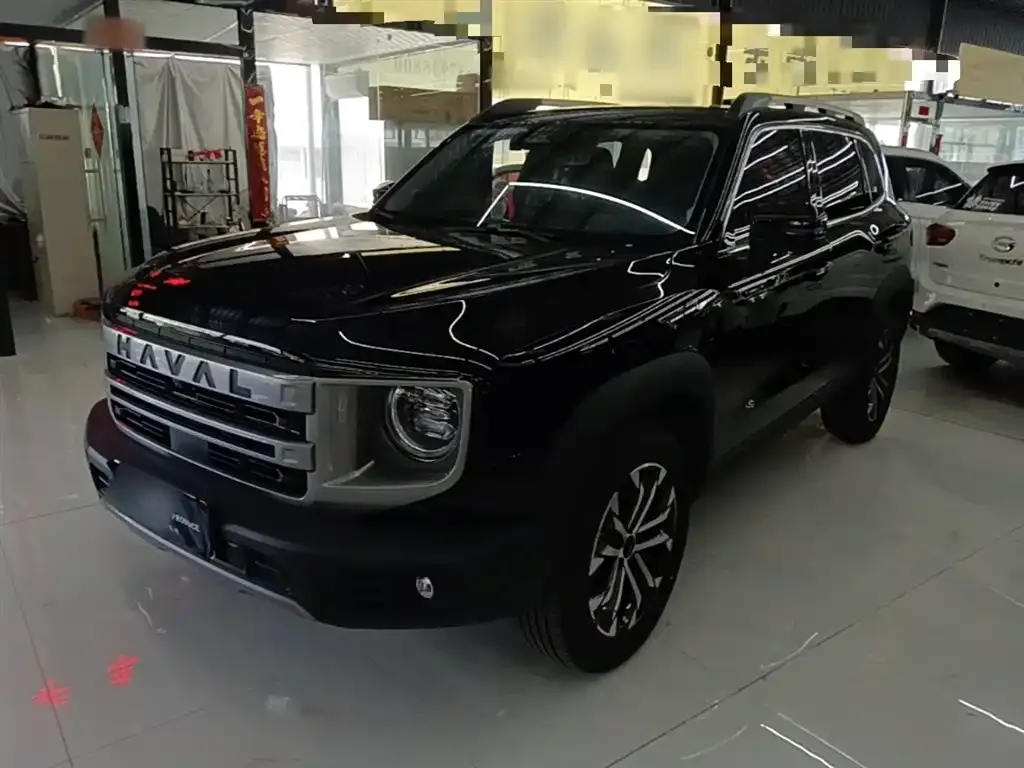 Haval Big Dog — фото 6