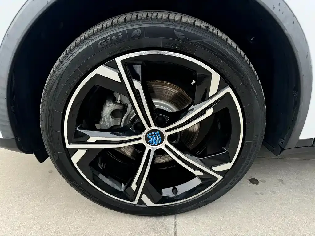 BYD Tang New Energy 2021 из CN, фото 6