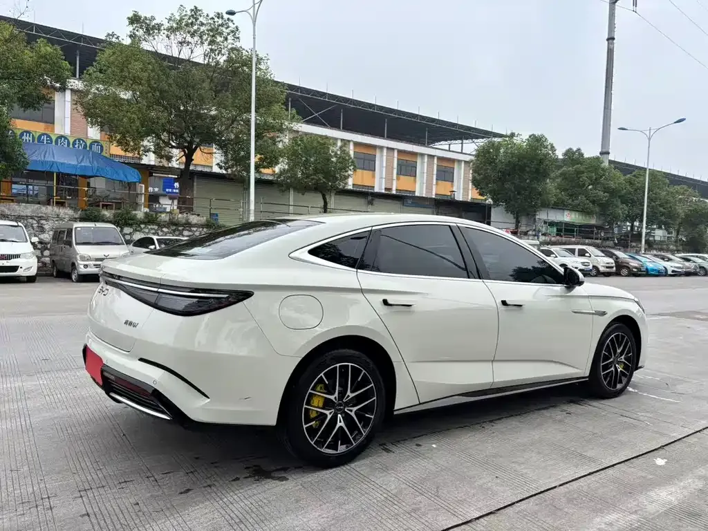 BYD Seal 07 DM-i 2024 из CN, фото 2