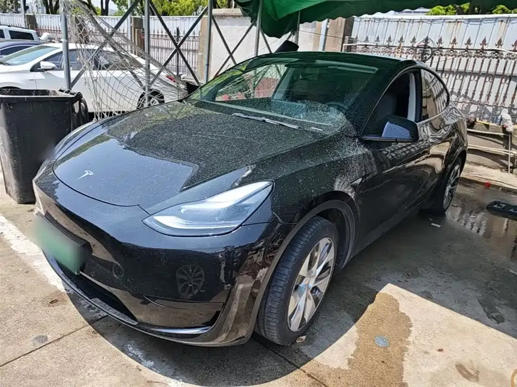 Tesla Model Y — фото 1