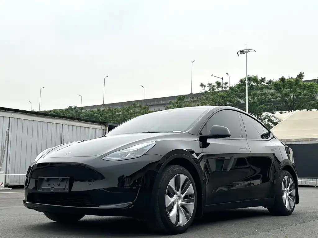 Tesla Model Y — фото 1