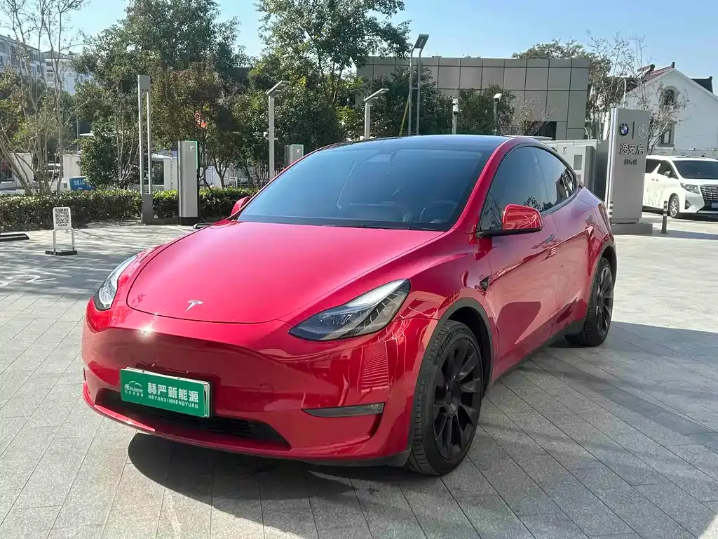 Tesla Model Y — фото 1