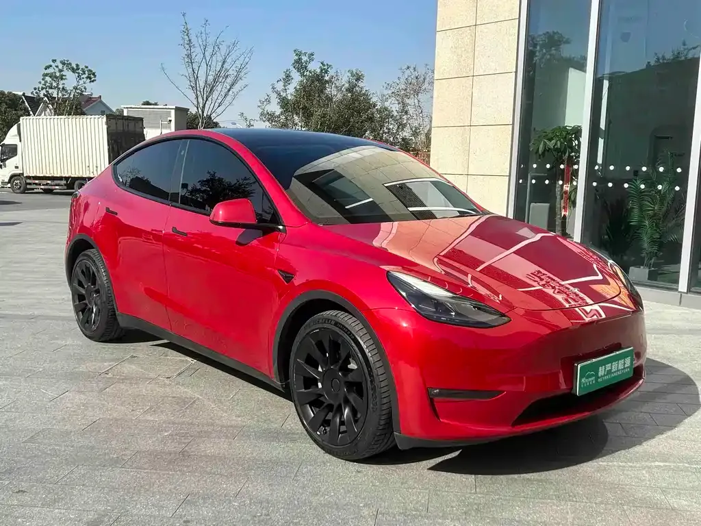 Tesla Model Y — фото 8