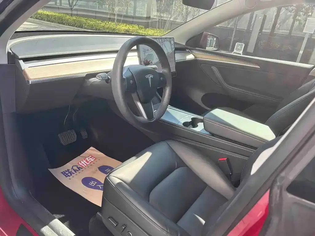 Tesla Model Y — фото 10