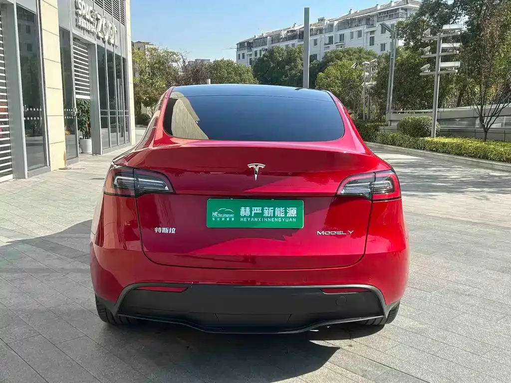 Tesla Model Y — фото 6