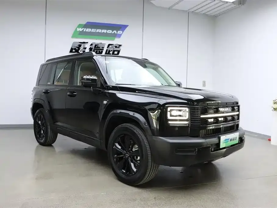 Haval Menglong New Energy 2025 из CN, фото 6