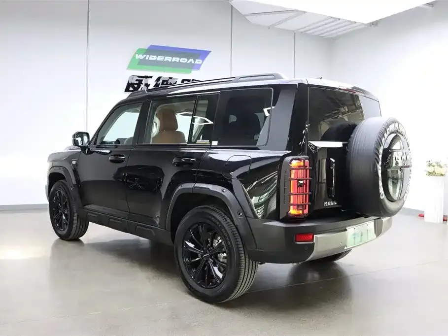Haval Menglong New Energy 2025 из CN, фото 4